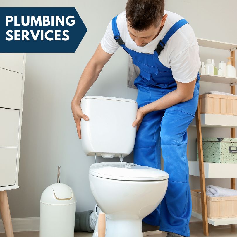 Plumbing Company in Spring Creek, NV